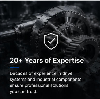 20 Years of Industry Experience